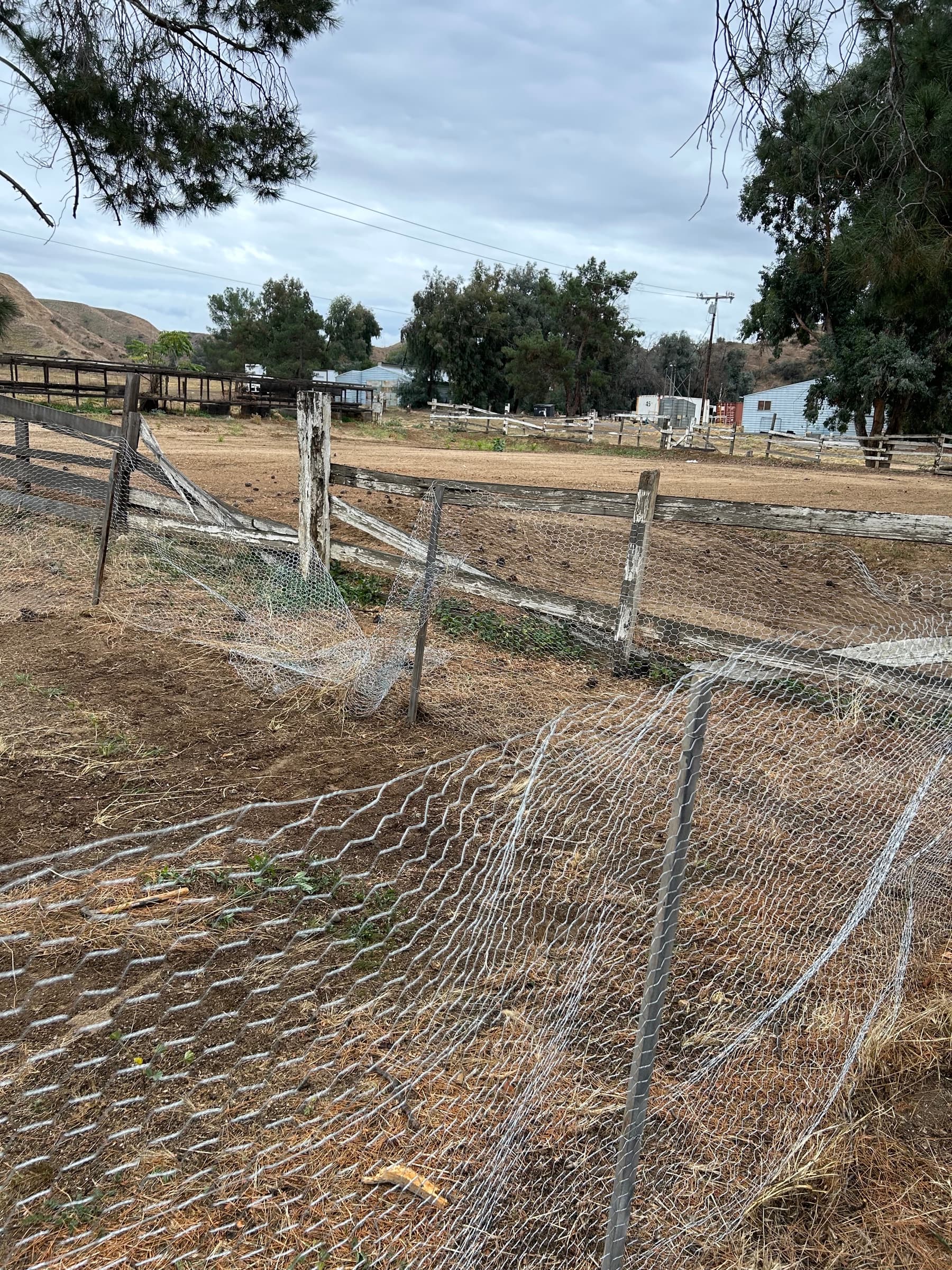 Coop — Set Photos 3