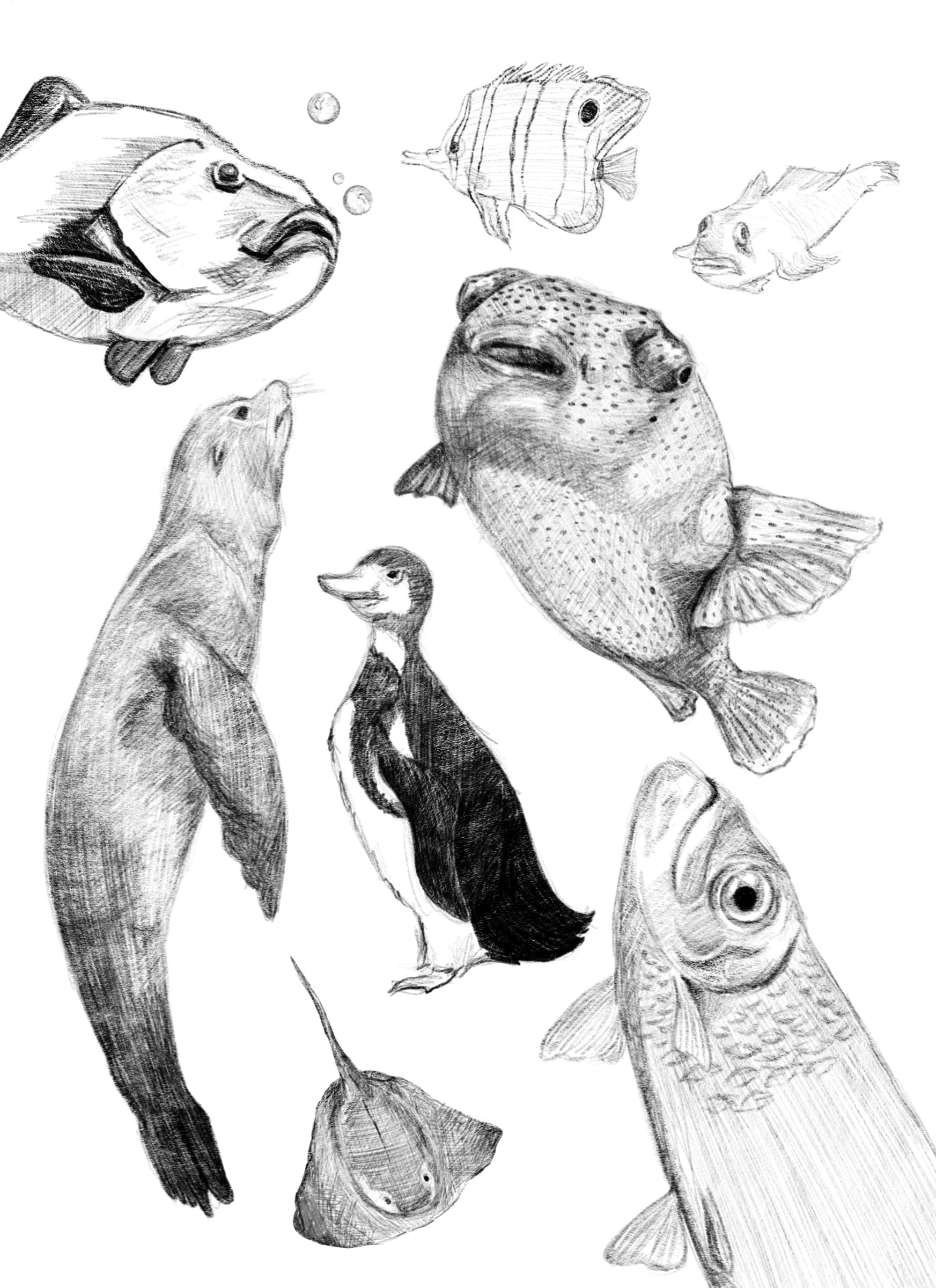 Sketchbook & Process — Sketchbook 12