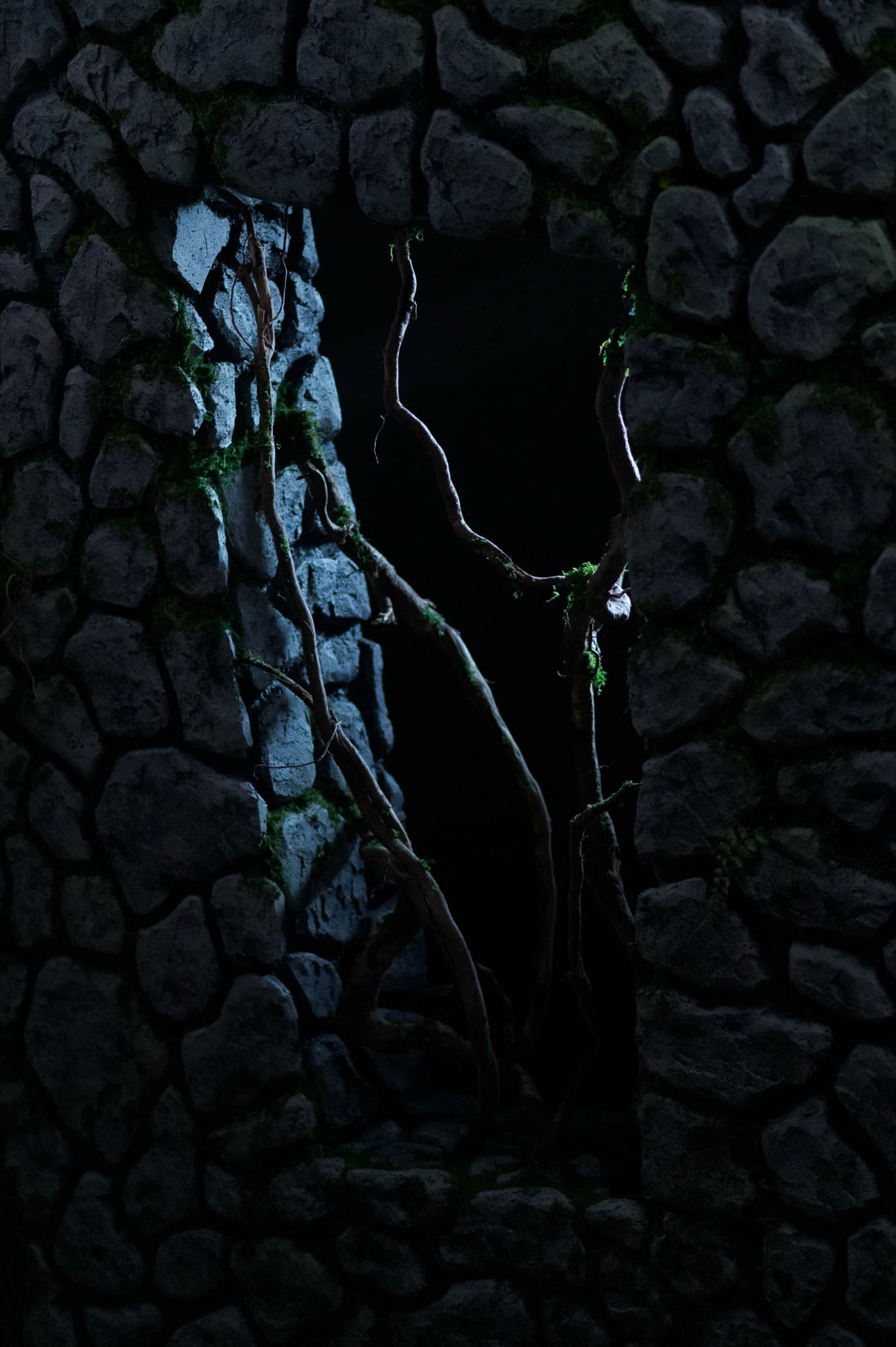 The Bonsai — Process & Plans 1