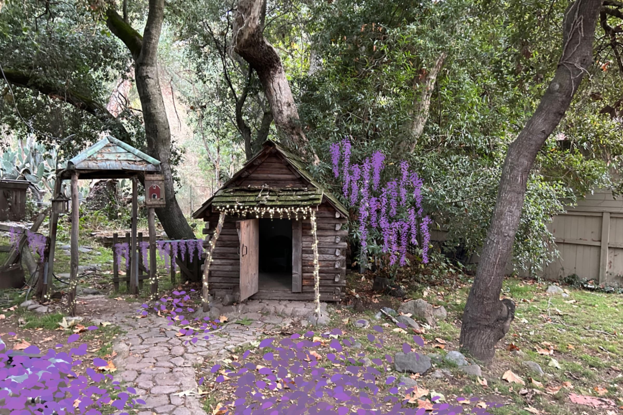 The Bonsai — Process & Plans 9