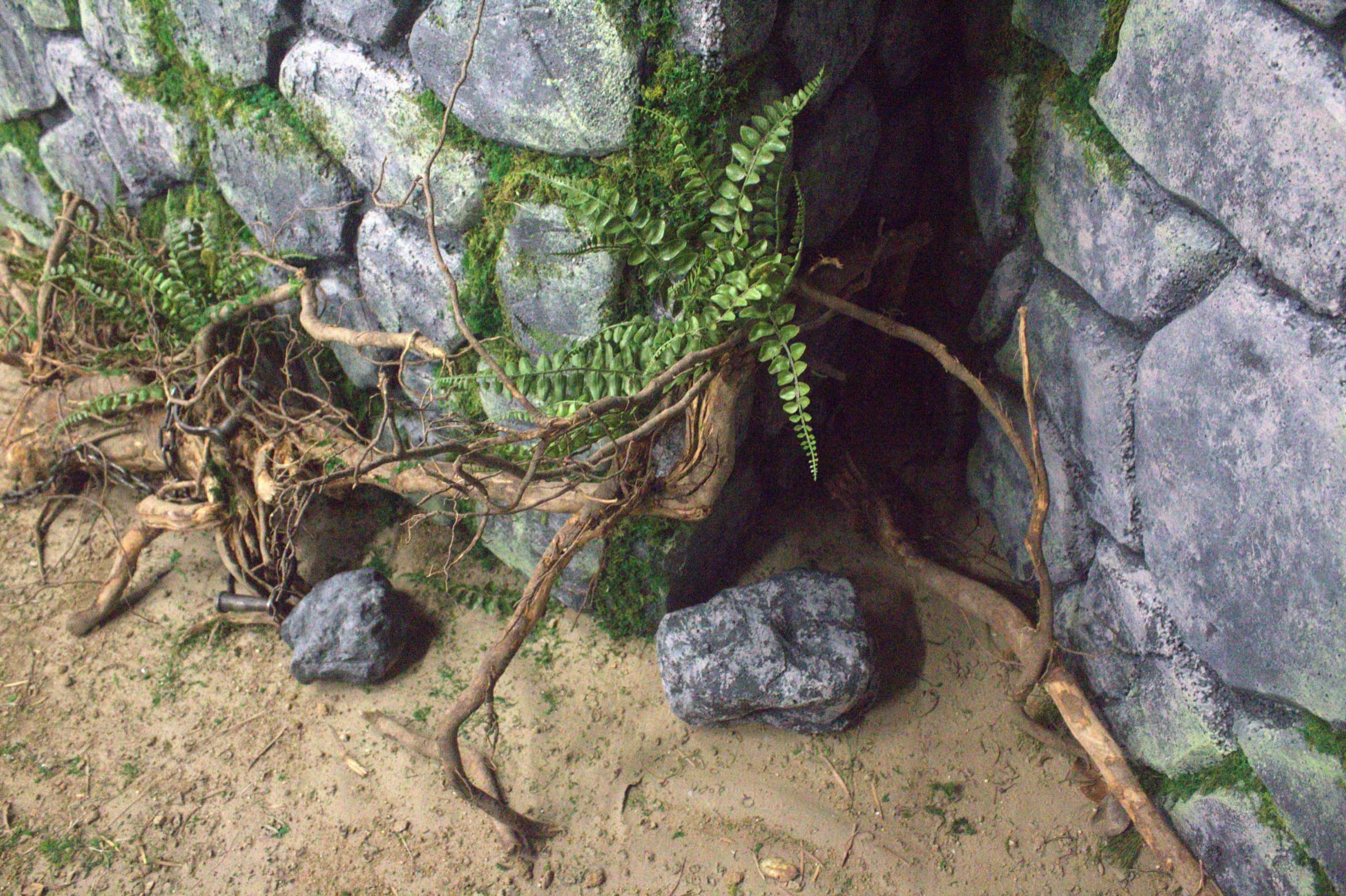 The Bonsai — Process & Plans 11
