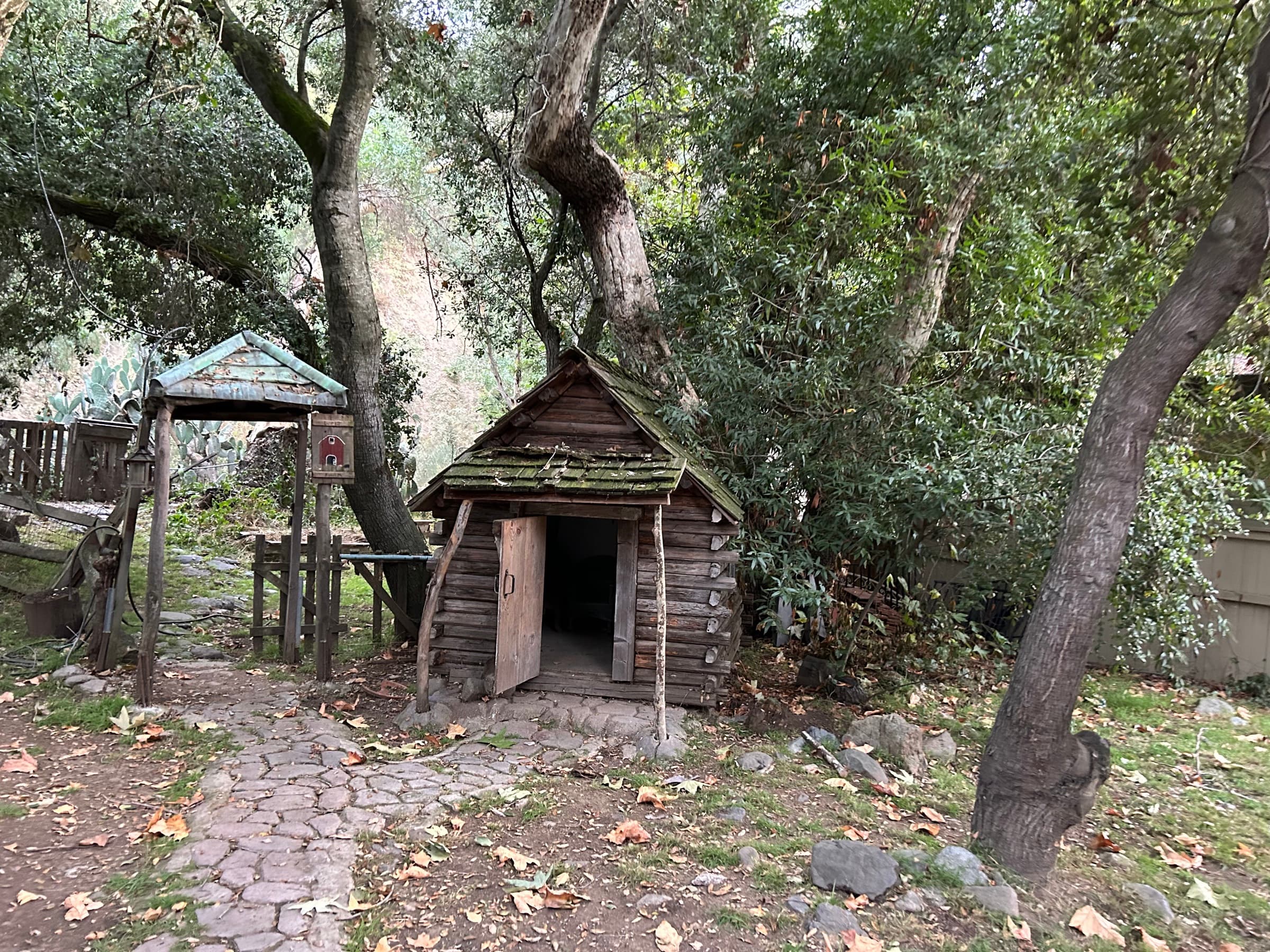 The Bonsai — Set & Location Photos 4