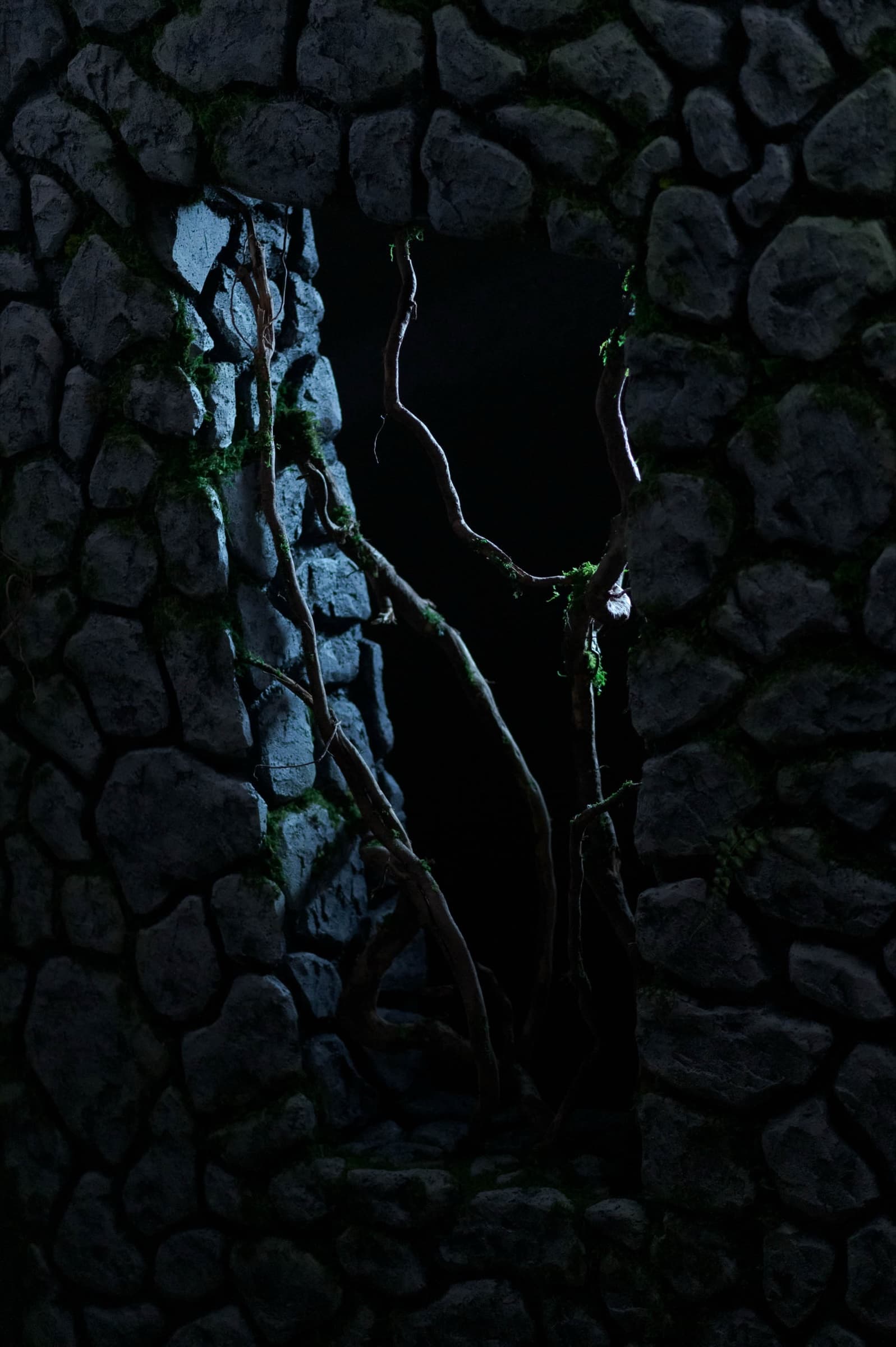 The Bonsai — Stills 3