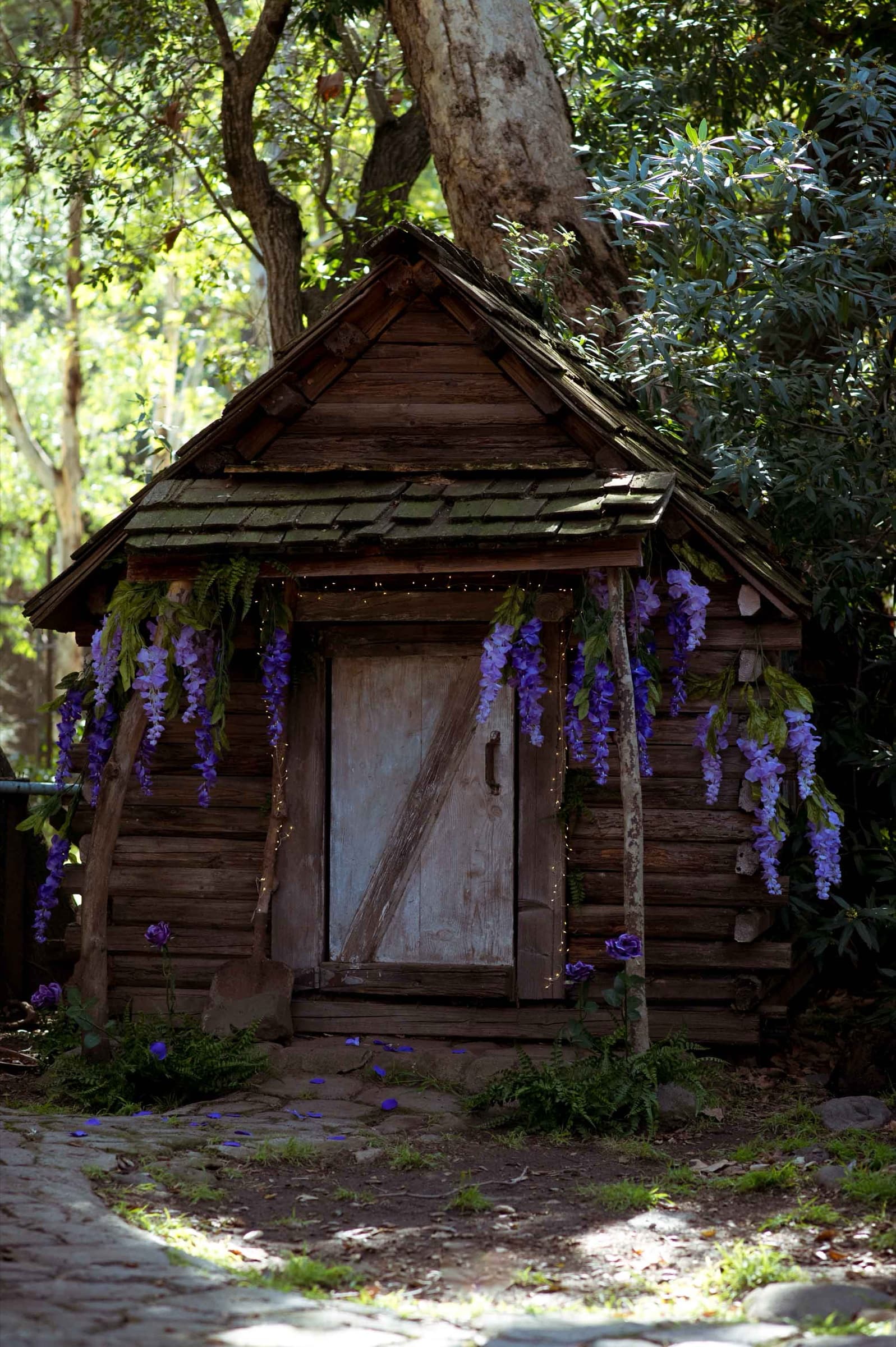 The Bonsai — Stills 4