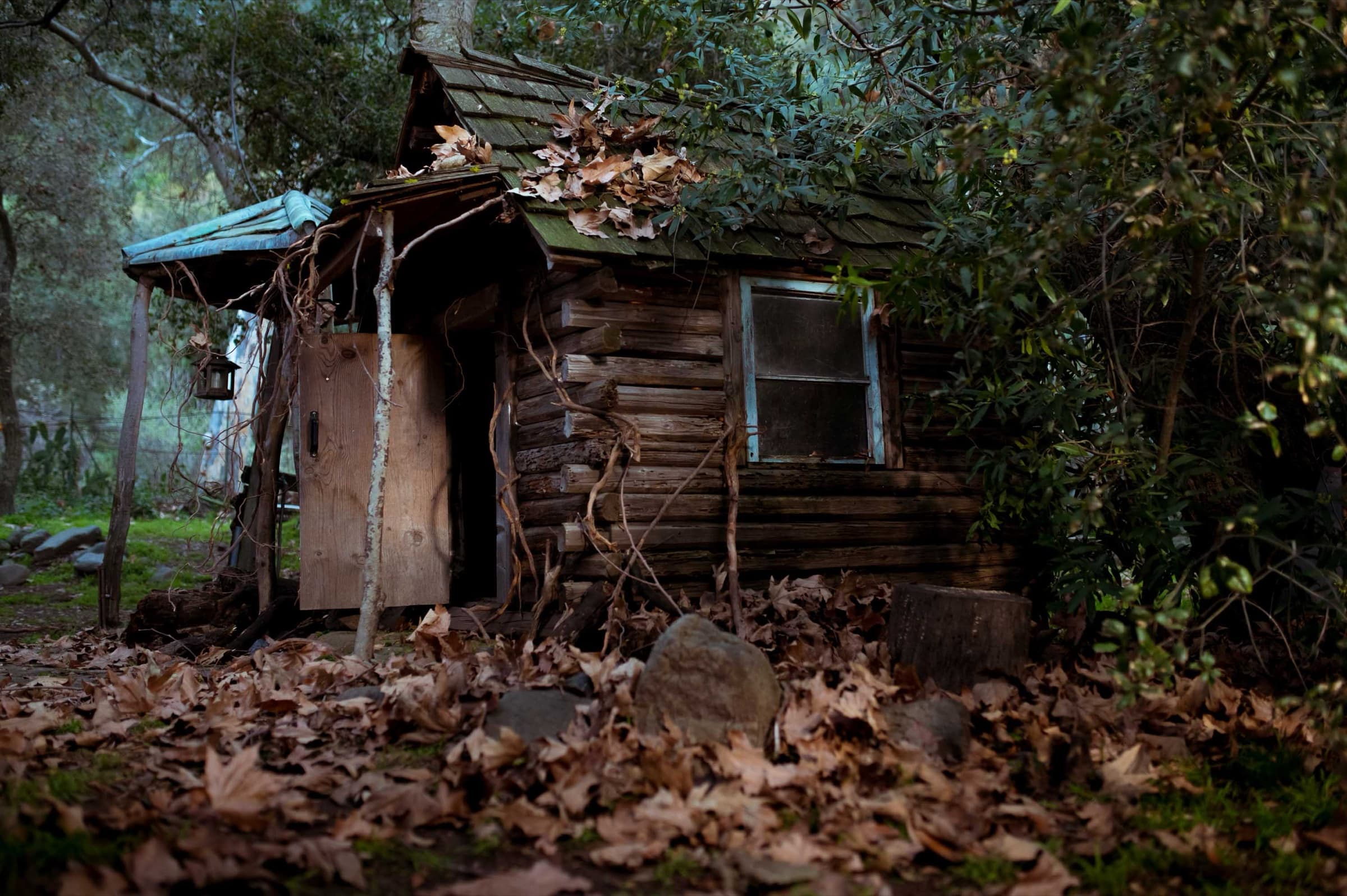 The Bonsai — Stills 6