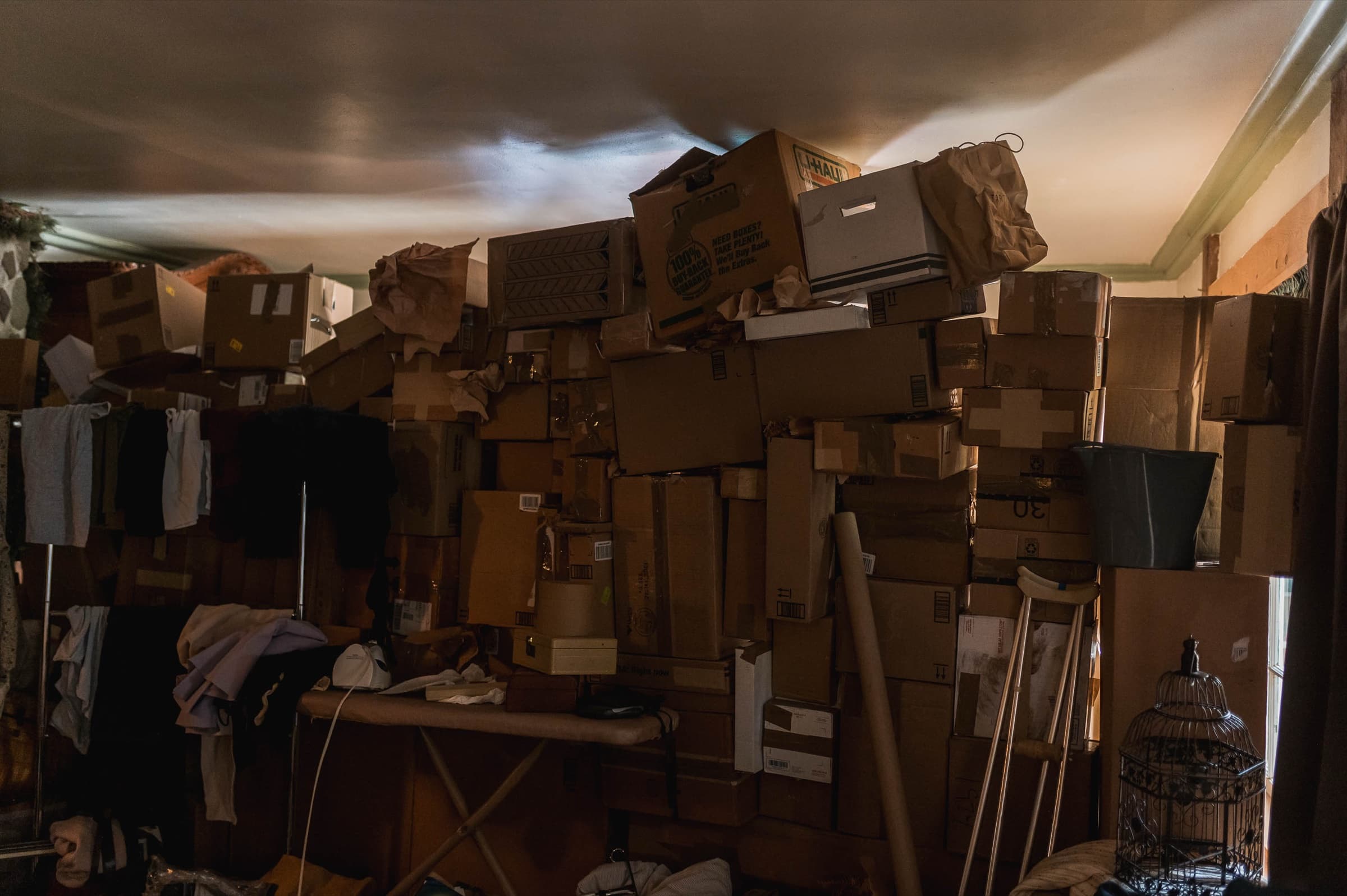 The Bonsai — Stills 8