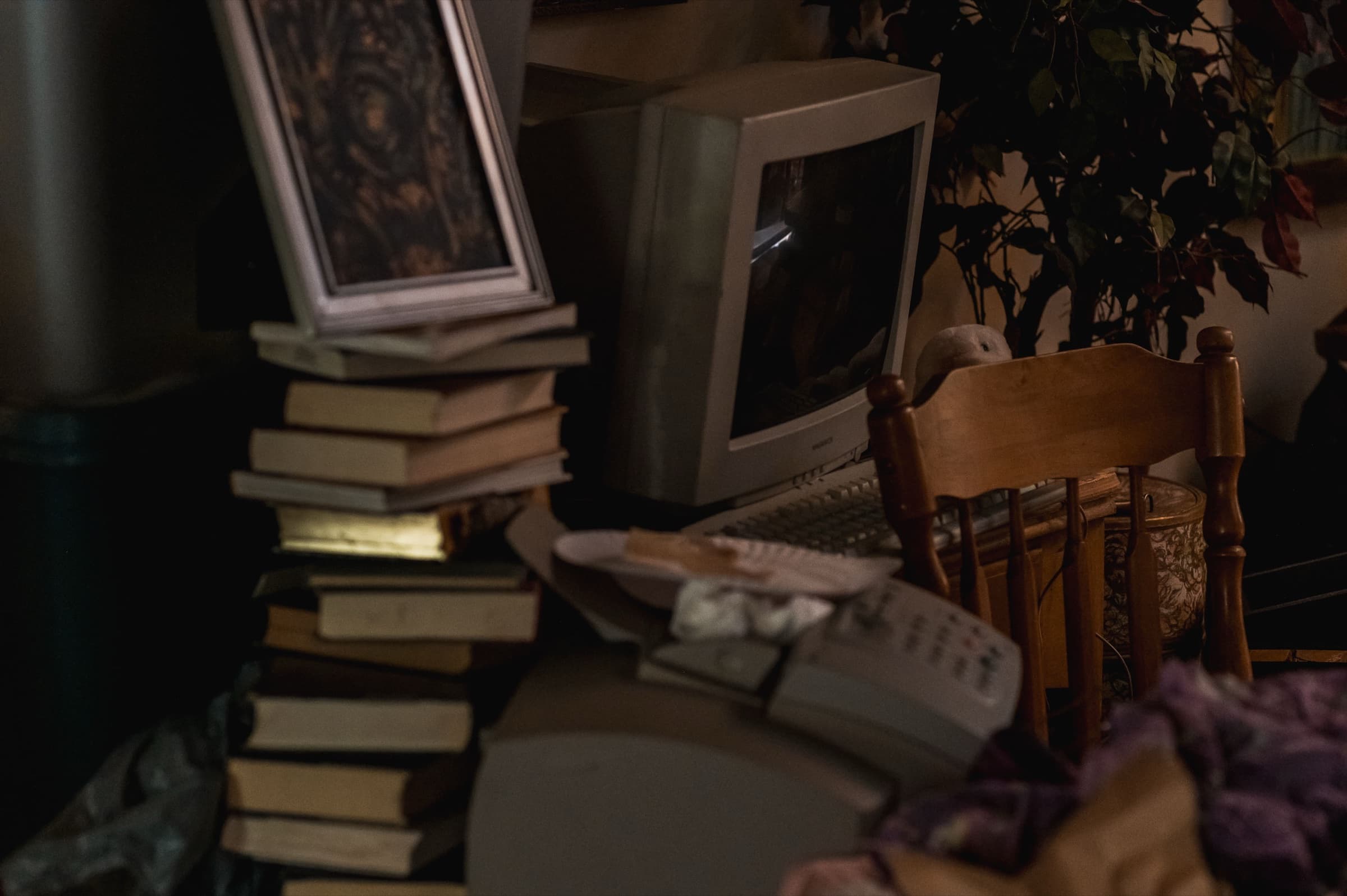 The Bonsai — Stills 9