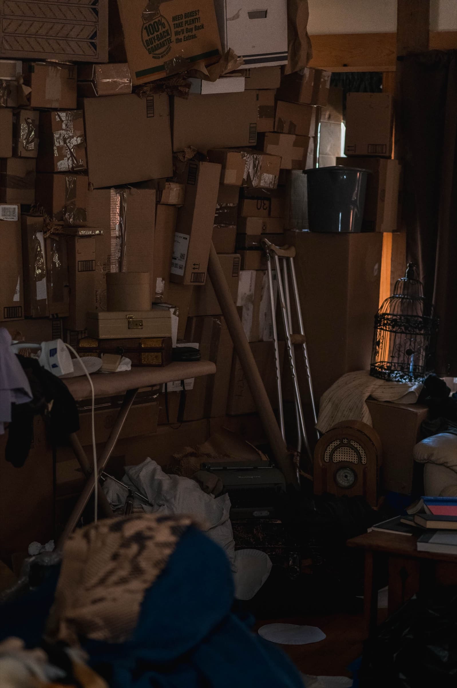 The Bonsai — Stills 11