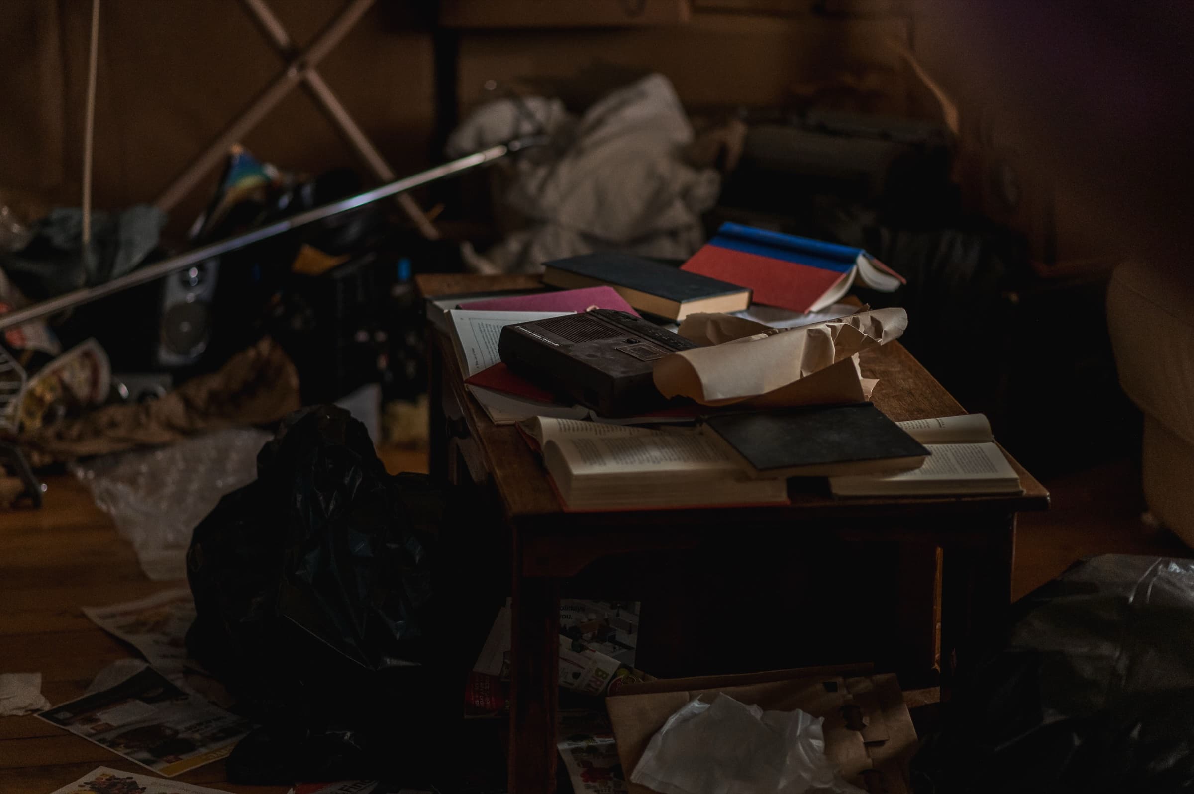 The Bonsai — Stills 12